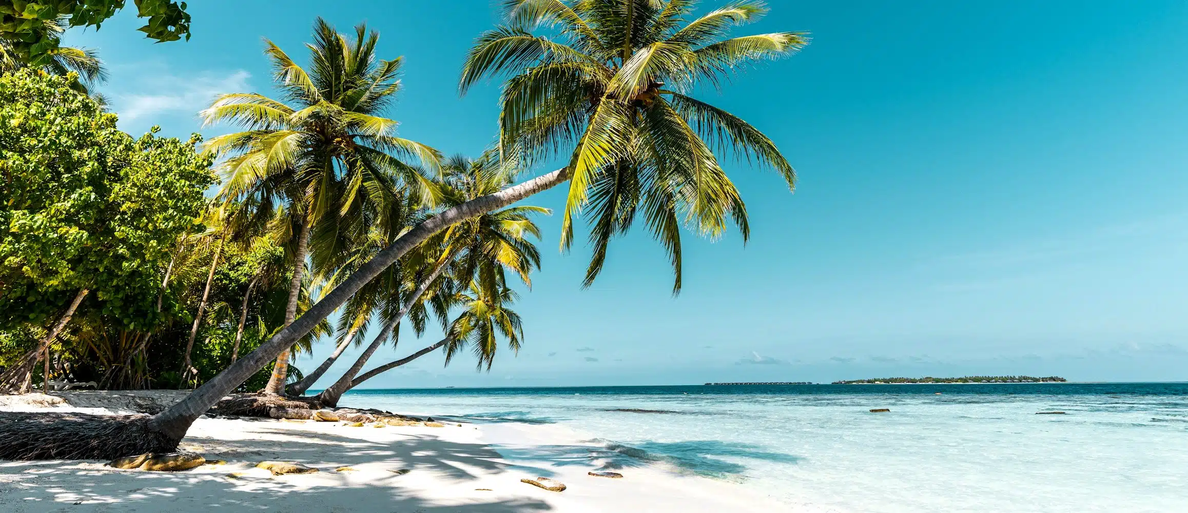 privat_coaching_strand