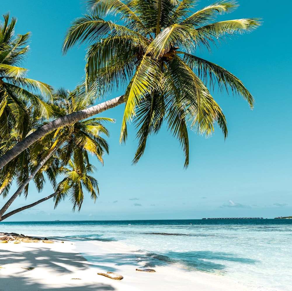 privat_coaching_strand_100x1000